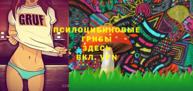 Галлюциногенные грибы Psilocybine cubensis  Богданович 